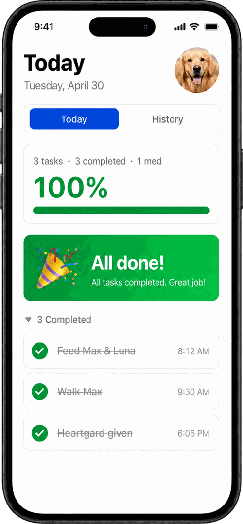 Petsomo app — all tasks completed for today