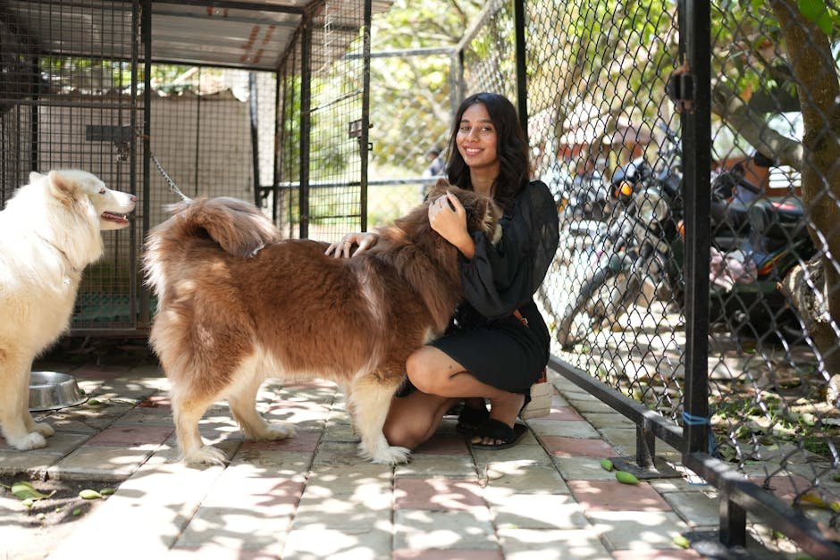DaCruz K9s Off-Leashed