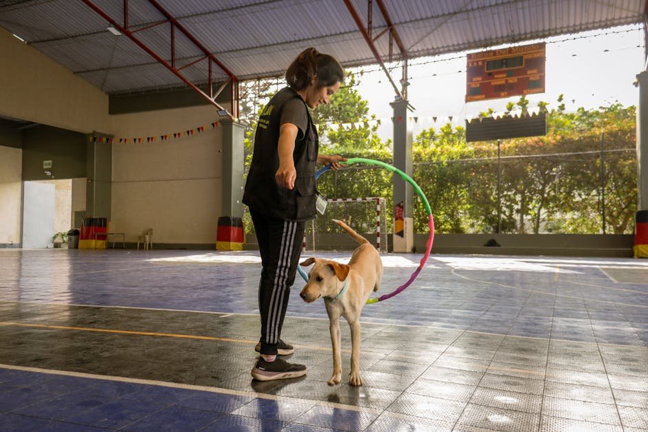 John K9 Dog Training