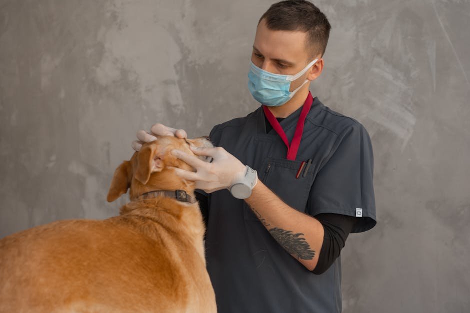 Citizens For Animal Protection