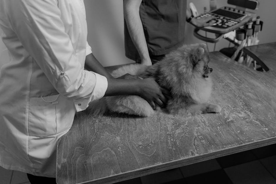 Briargrove Animal Clinic