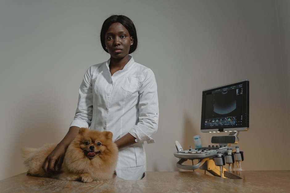 Chewy Vet Care Alliance