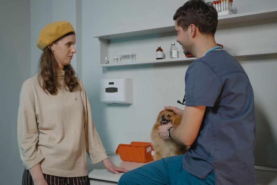 Memorial Town and Country Animal Clinic