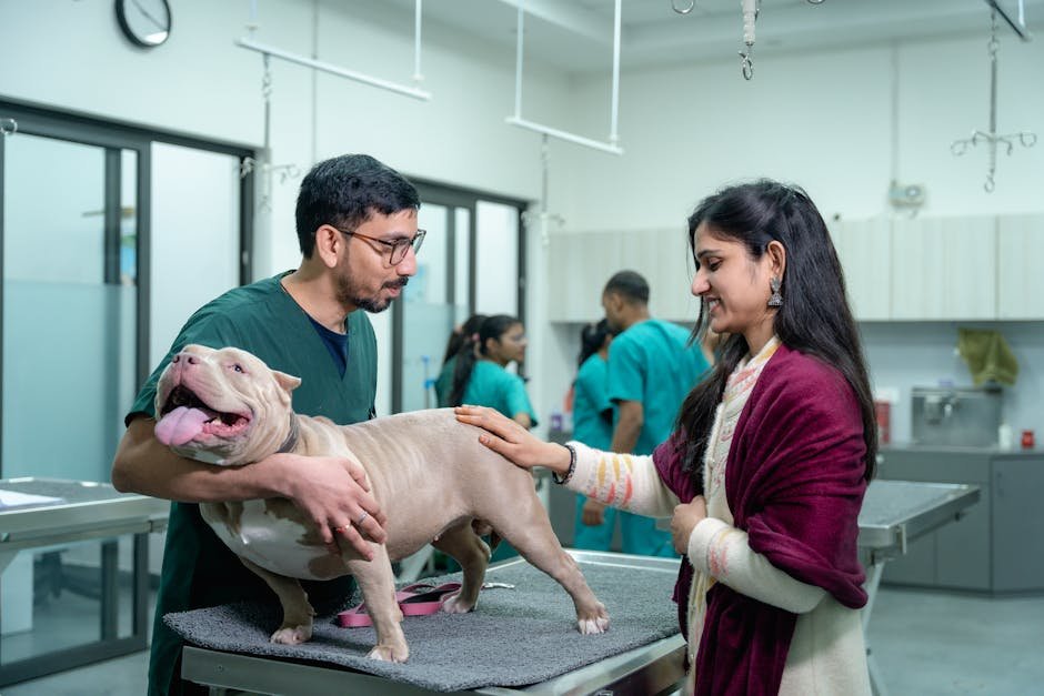 Alliance Animal Health Center