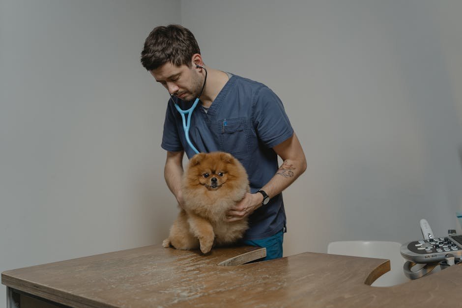 Bear Creek Animal Clinic