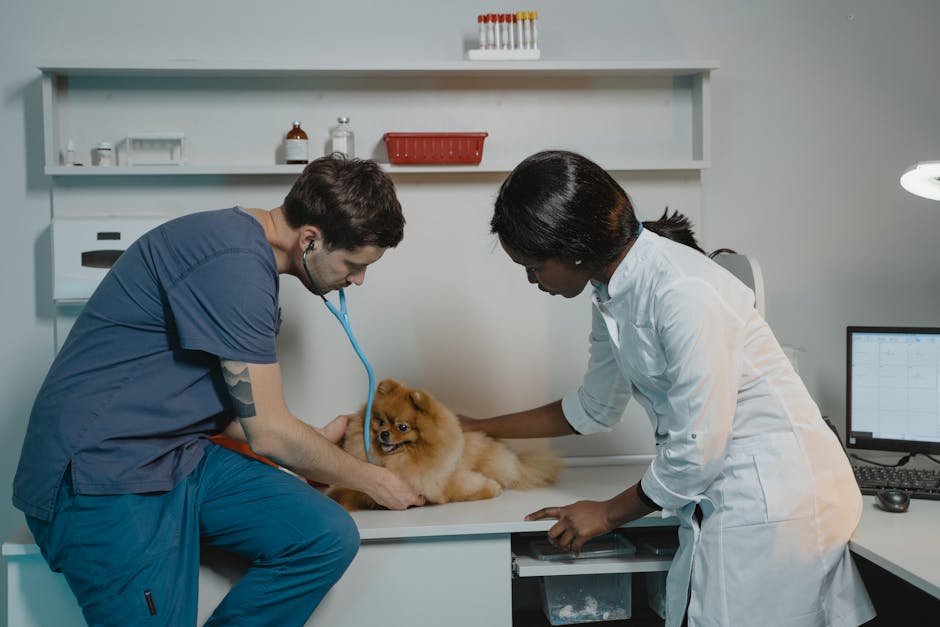Baxter and Cleo Veterinary Clinic