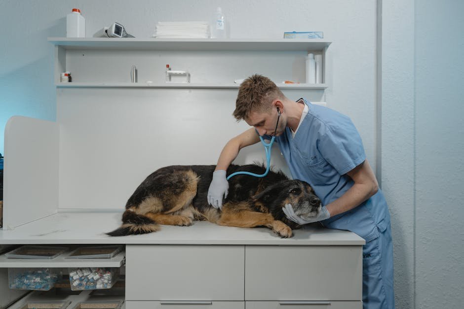Braescroft Animal Clinic