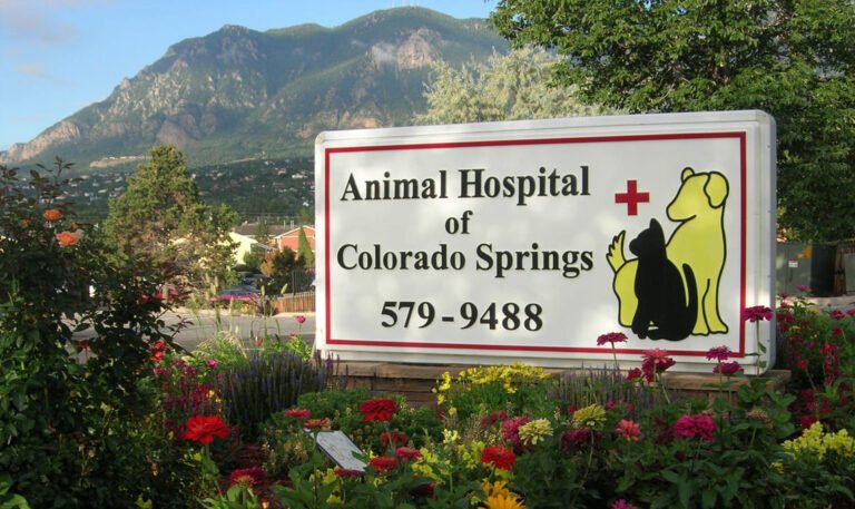 Animal Hospital of Colorado Springs
