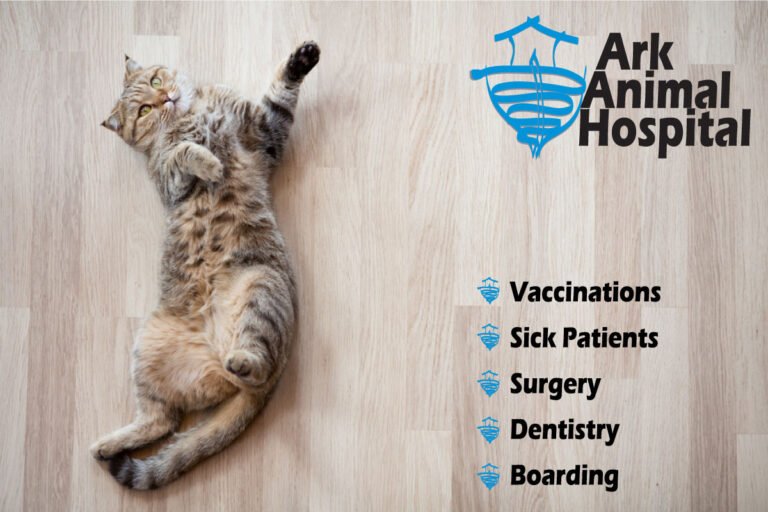 Ark Animal Hospital – Kansas City