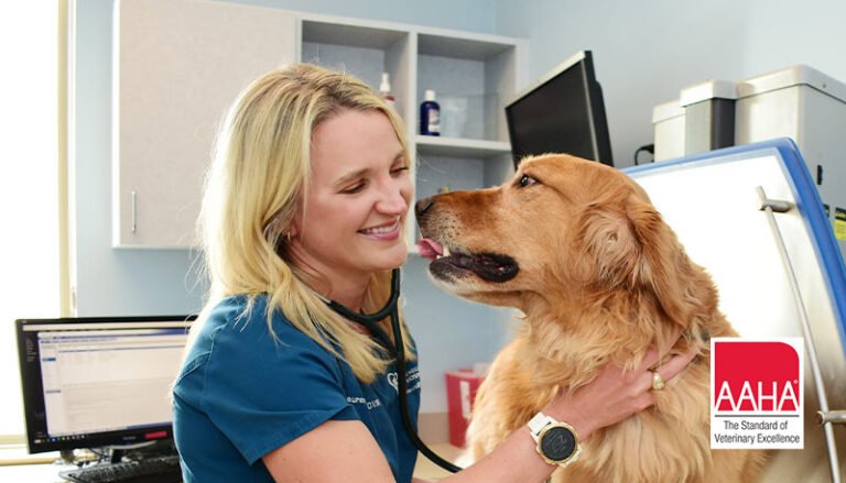 Arlington Heights Animal Hospital