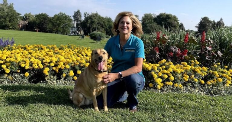 Bark Busters Home Dog Training Denver SouthEast Region