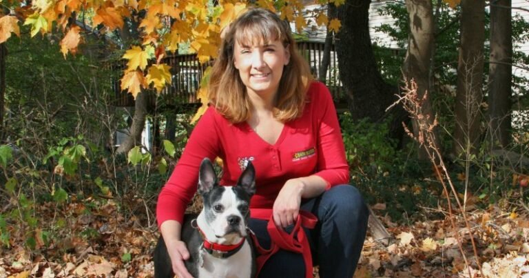 Bark Busters Home Dog Training Westchester