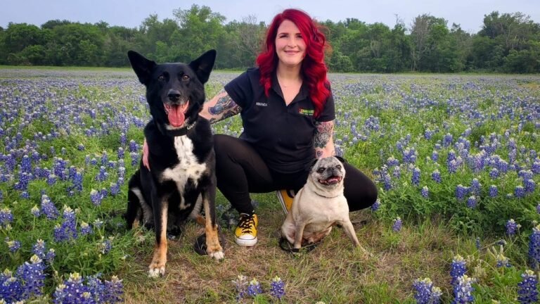 Bark Busters of Austin South