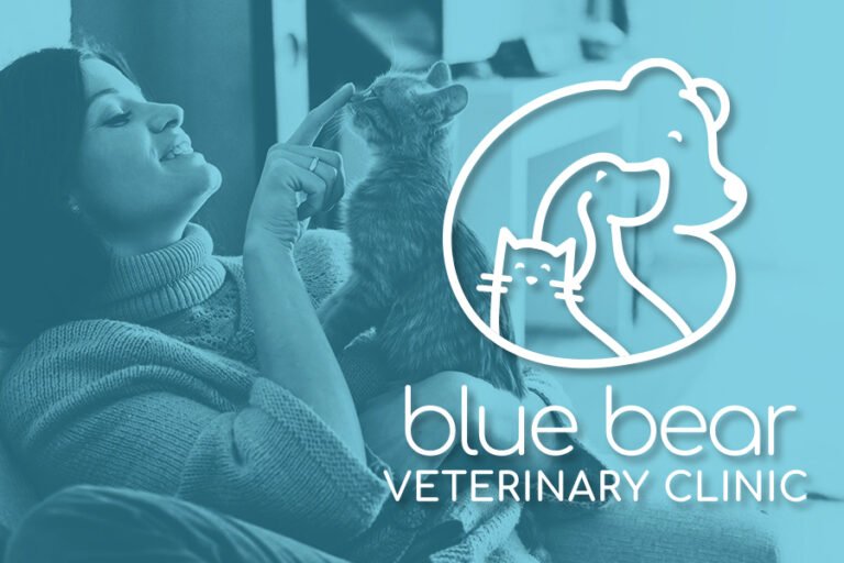 Blue Bear Veterinary Clinic