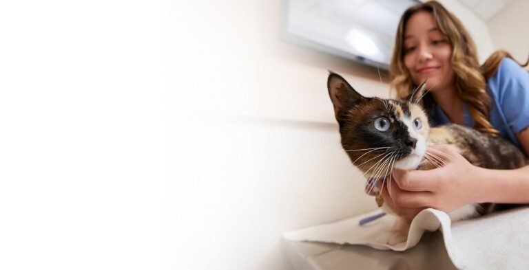 Chewy Vet Care Cinco Ranch