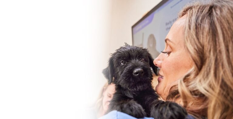 Chewy Vet Care McKinney