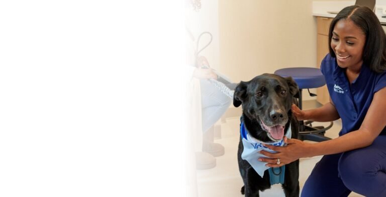 Chewy Vet Care Midtown