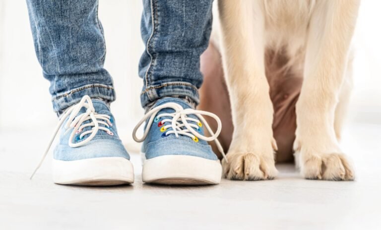 Concierge Dog Training