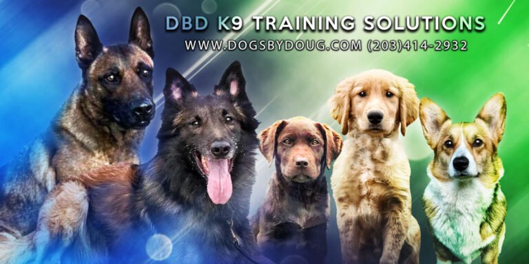 Dogs by Doug