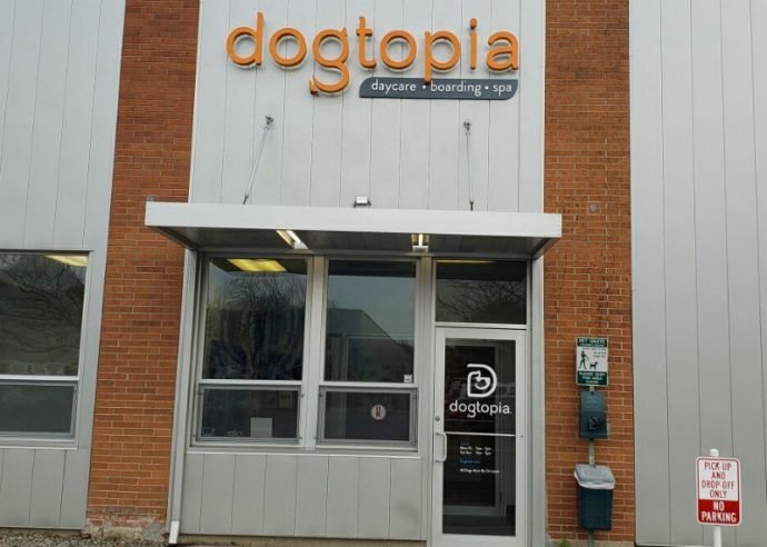 Dogtopia of Mount Kisco