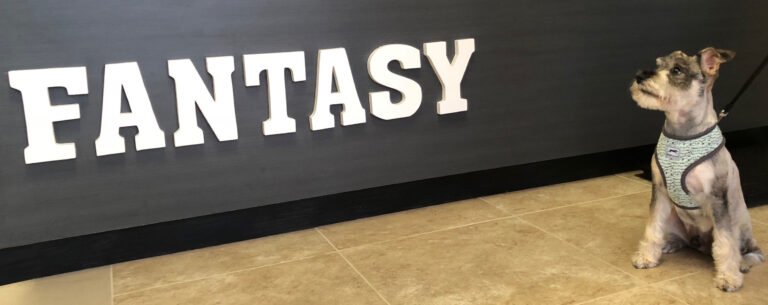 Fantasy Pet Grooming Boarding & Daycare