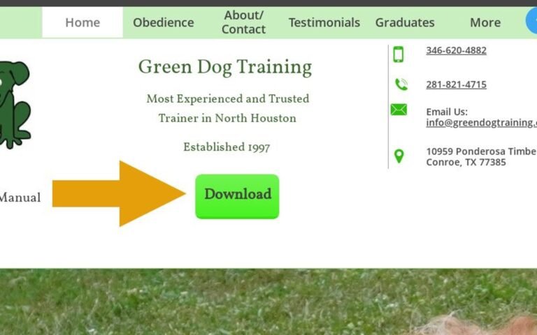 Green Dog Training