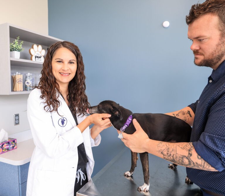 Green Hill Animal Hospital