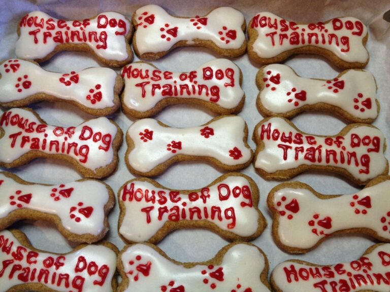 House of Dog Training