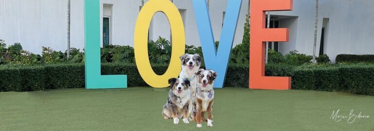 HumaneK9 Dog Training LLC