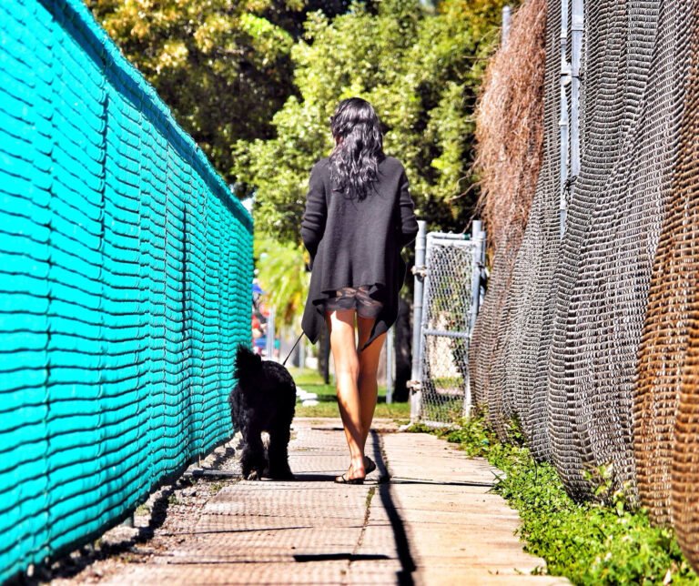 Love Miami Dogs