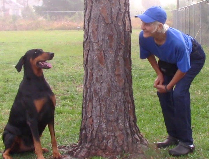 Love Wags A Tail Dog Training
