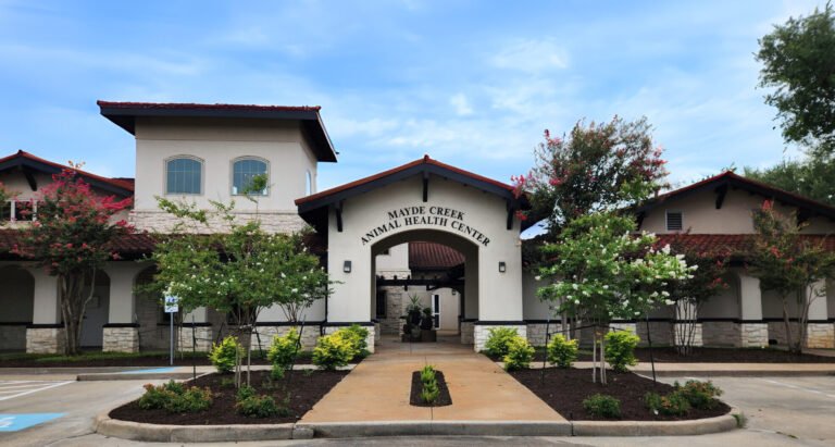Mayde Creek Animal Health Center