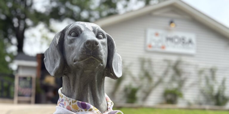 Mosa Pet Spa & Resort