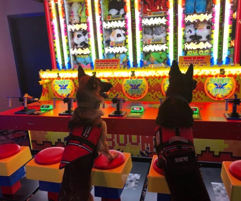 Penn’s Canine Training