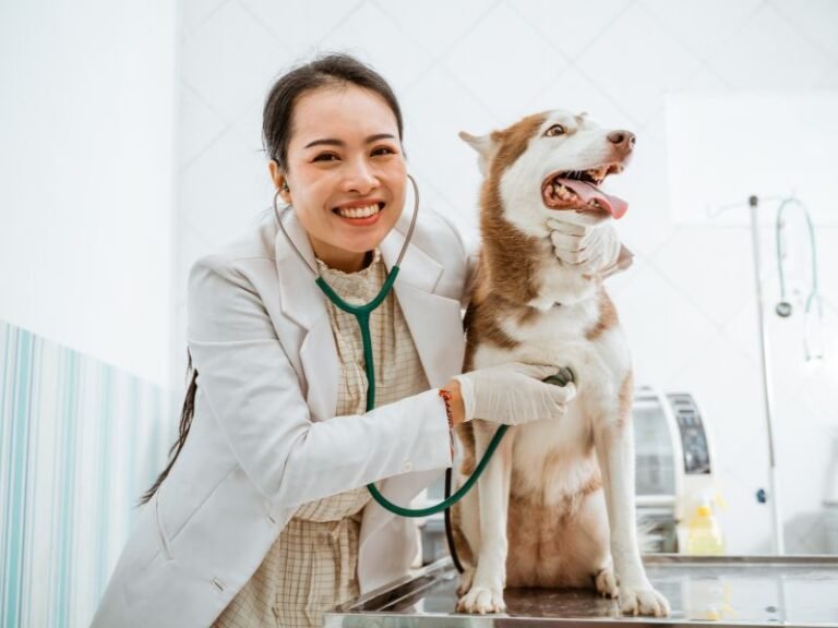 Pet Care Veterinary Hospital