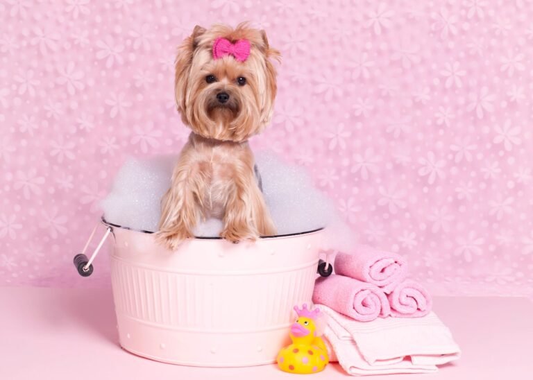 Pet Glam Spa