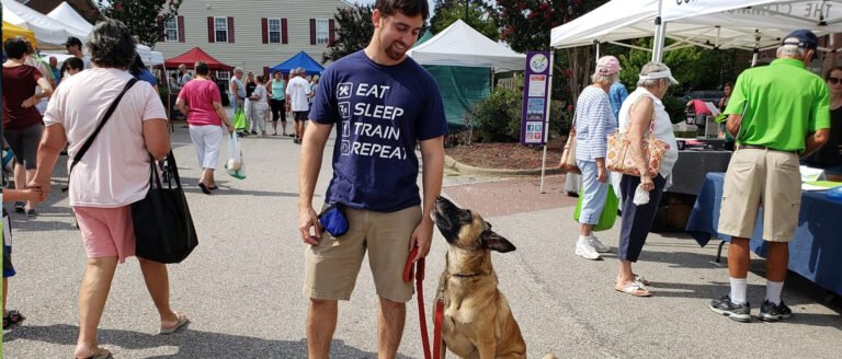 Proactive Dog Training, LLC