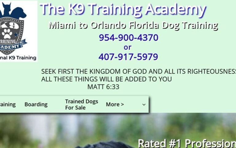 The K9 Training Academy