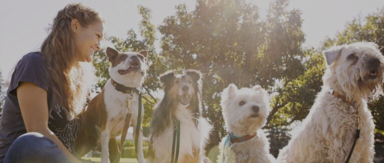 What the Pup Pet Care
