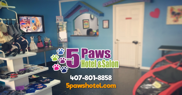 5 Paws Hotel & Salon