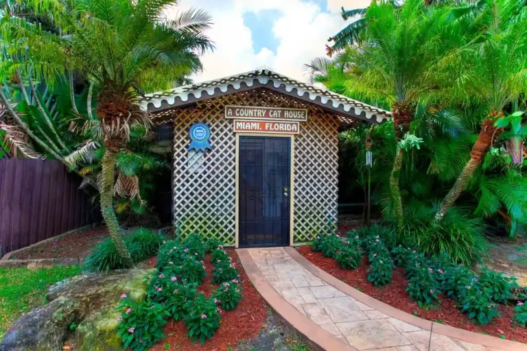 A Country Cat House