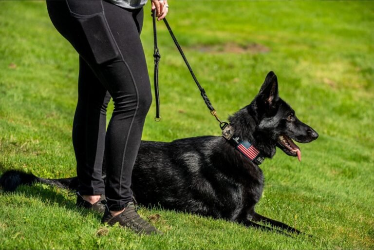 A2ZK9