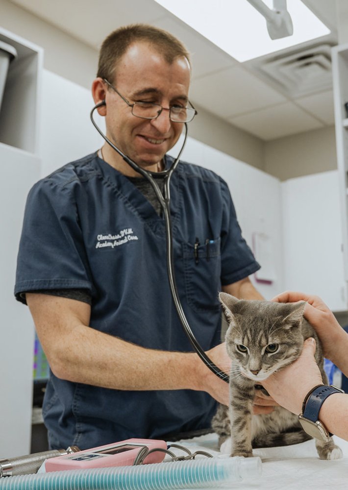 Academy Animal Care