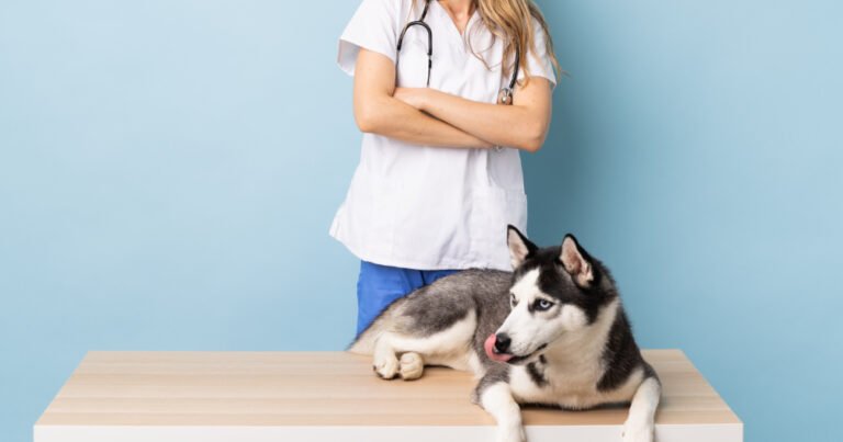 Advanced Animal Care of Colorado