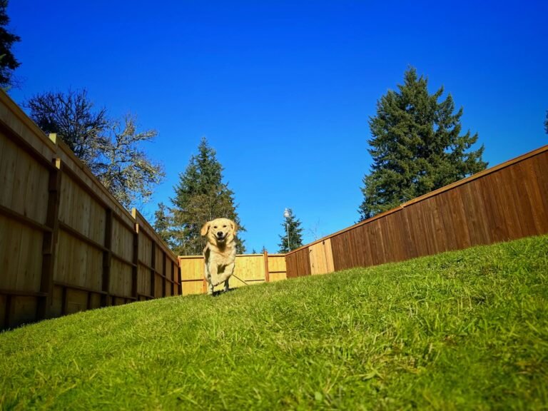Alder Creek Pet Lodge Inc.