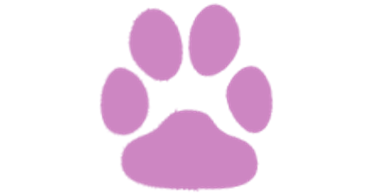 All About Paws