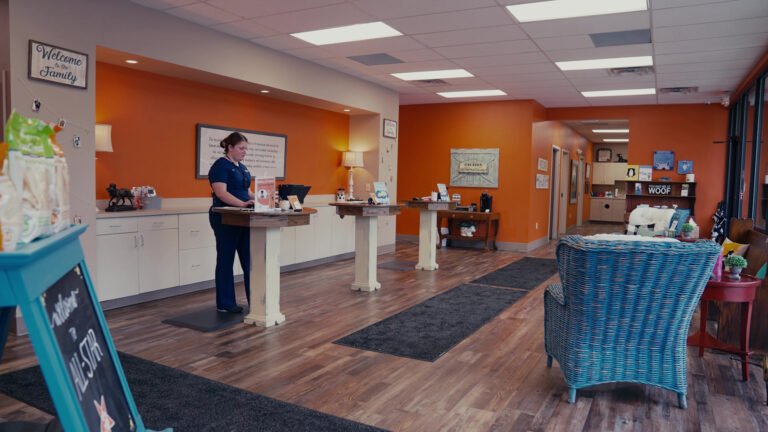 All-Star Veterinary Clinic