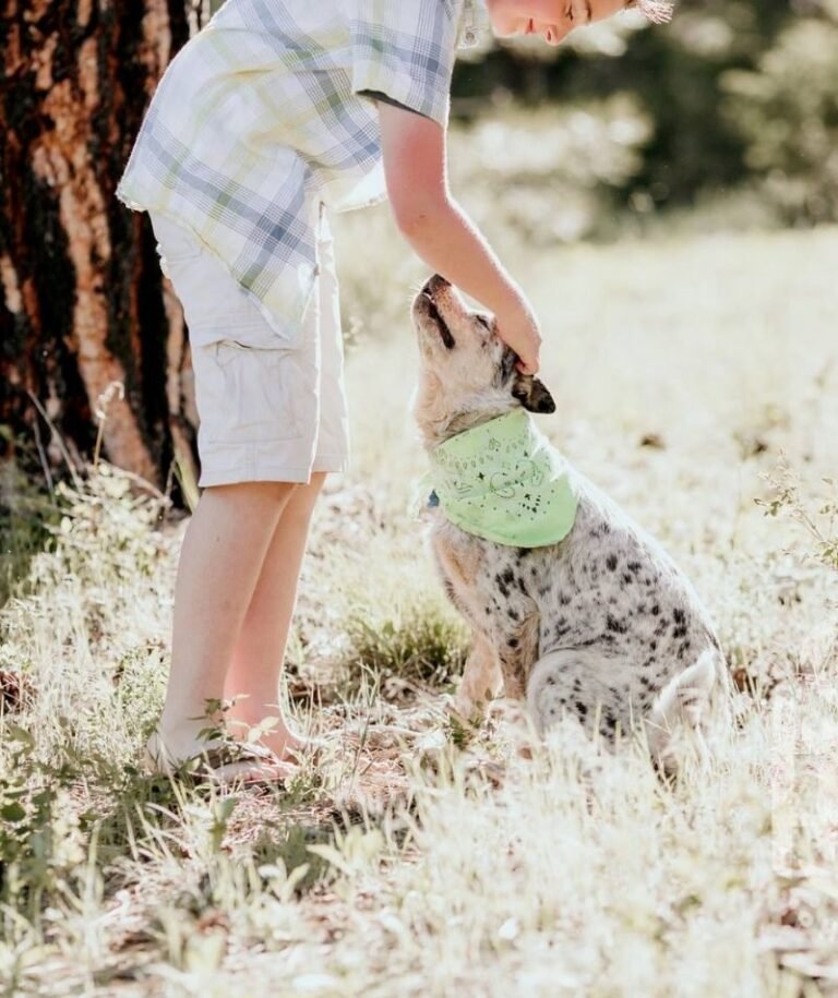 Alpine Animal Clinic