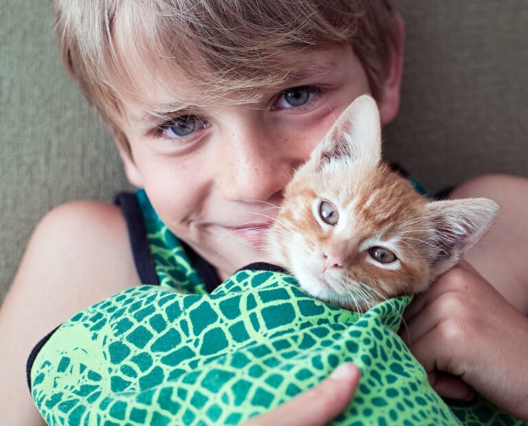 Ancare Veterinary Clinic