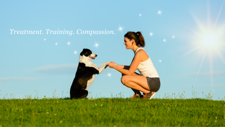 Animal Behavior Wellness Center